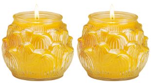 2.5-3 days Ghee Oil candle (L) lotus shape, a pair. (Y)