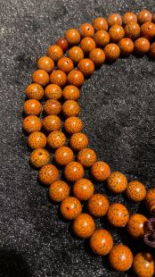  Star and Moon Bodhi, seeds, and Buddhist